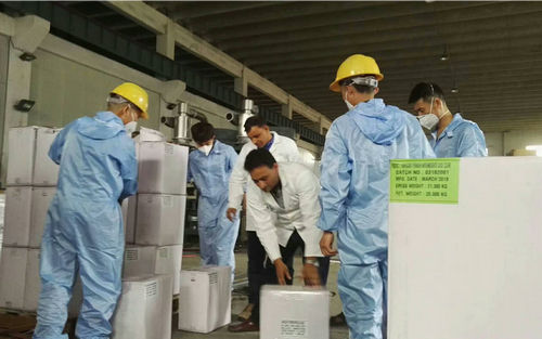 廣東客戶的高.端邦定機(jī)出廠測試